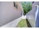 Home side yard featuring neutral stucco exterior and fenced walkway to backyard at 15501 Pepper Pine Ct, Land O Lakes, FL 34638