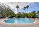 Inviting community pool with palm trees and lounge chairs at 15501 Pepper Pine Ct, Land O Lakes, FL 34638