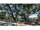 Community dog park featuring mature trees and lush greenery with a black chain link fence and convenient waste disposal at 6614 10Th Avenue S Ter, St Petersburg, FL 33707