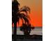 Stunning sunset view overlooking the water, framed by silhouette of palm trees at 8246 Aquila St, Port Richey, FL 34668