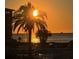 Beautiful waterfront view with the sun rising behind a palm tree at 8246 Aquila St, Port Richey, FL 34668