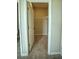 Carpeted walk-in closet featuring wire shelving for optimal storage at 1027 Ocean Spray Dr, Ruskin, FL 33570