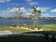 Landscaped backyard with lake view and stone pathway at 1027 Ocean Spray Dr, Ruskin, FL 33570