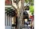 Charming street view of local businesses, sidewalk benches, and mature shade trees at 2571 Cyprus Dr # 1-202, Palm Harbor, FL 34684