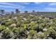 Aerial view of a house nestled in a lush, tree-lined neighborhood with city skyline in the background at 3310 W Palmira Ave, Tampa, FL 33629