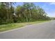 View of the property showing street access to the landscape and lush greenery along the side of the road at 5143 Culbreath Rd, Brooksville, FL 34601