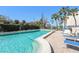 Community pool surrounded by lounge chairs and clear blue water, set against a backdrop of mature palm trees at 30 Turner St # 401, Clearwater, FL 33756
