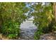 Serene waterfront view through lush foliage at 3208 San Carlos St, Clearwater, FL 33759