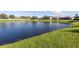 Serene lake view with lush green grass and houses in the background at 11339 Tayport Loop, New Port Richey, FL 34654