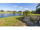 Large backyard with pond view and lush landscaping at 11339 Tayport Loop, New Port Richey, FL 34654