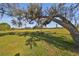 View of the backyard with large trees and golf course at 1148 Emerald Hill Way, Valrico, FL 33594
