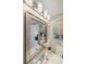 Bathroom vanity with mirror, plants, and artwork at 6372 Palma Del Mar S Blvd # 320, St Petersburg, FL 33715