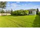 Large backyard with grassy area and privacy at 101 Brookover Ln, Brandon, FL 33511