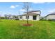 Large backyard with a grassy area and a tree at 1911 Fan Aloe Way, Ruskin, FL 33570