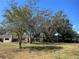 Aerial view of homes and landscape with large trees at 1504 Mission Hills Blvd # 19C, Clearwater, FL 33759