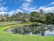 Serene pond with boardwalk and lush landscaping at 2004 Westley Ct, Safety Harbor, FL 34695