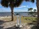 Scenic waterfront view with palm trees and a park information sign at 2004 Westley Ct, Safety Harbor, FL 34695