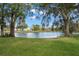 Serene lakefront view with lush green grass and mature trees at 165 Lakeview Way # 165, Oldsmar, FL 34677