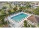 Community pool with lounge chairs and tropical landscaping at 165 Lakeview Way # 165, Oldsmar, FL 34677