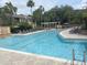Large community pool with lounge chairs and umbrellas at 10108 Courtney Oaks Cir # 203, Tampa, FL 33619