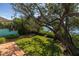 Landscaped backyard with large tree and view of the water at 838 Monterey Ne Blvd, St Petersburg, FL 33704
