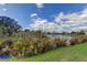 Peaceful pond view with natural vegetation and clear sky at 5220 Butterfly Shell Dr, Apollo Beach, FL 33572