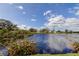 Serene pond view with lush landscaping and clear sky at 5220 Butterfly Shell Dr, Apollo Beach, FL 33572