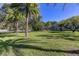 Spacious backyard with lush lawn and palm trees at 2420 Kent Pl, Clearwater, FL 33764