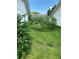 Landscaped backyard with lush green grass and tropical plants at 8101 Casuarina Dr, Port Richey, FL 34668