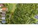 Aerial view shows green space in backyard and wooded area nearby at 27542 Sky Lake Circle, Wesley Chapel, FL 33544