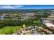 Overhead view features neighborhood homes nestled amidst lush greenery, situated near ponds and commercial areas at 27542 Sky Lake Circle, Wesley Chapel, FL 33544