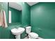 Small powder room with pedestal sink and green walls at 5315 Companion Ln, Tampa, FL 33619