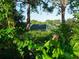 Secluded house view from amongst tropical foliage at 8900 143Rd St, Seminole, FL 33776