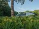 House partially obscured by lush landscaping at 8900 143Rd St, Seminole, FL 33776