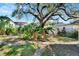 Large backyard with mature trees, shed, and lush landscaping at 2905 N 13Th St, Tampa, FL 33605