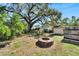 Backyard with large tree and firepit at 2905 N 13Th St, Tampa, FL 33605