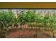 Landscaped patio featuring a row of green shrubs and wooded view at 36750 Us Highway 19 N # 03127, Palm Harbor, FL 34684