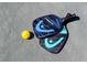 Two pickleball paddles and ball ready for play at 36750 Us Highway 19 N # 03127, Palm Harbor, FL 34684