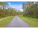 Paved trail surrounded by tall pine trees and grassy areas at 18001 Richmond Place Dr # 734, Tampa, FL 33647