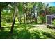 Large backyard with lush lawn and mature trees offering shade and privacy at 3204 Stagecoach Trl, Wimauma, FL 33598