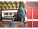Horse in stall wearing a fly mask, well-maintained barn at 3204 Stagecoach Trl, Wimauma, FL 33598