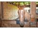 Palomino horse in a rustic wooden stall at 3204 Stagecoach Trl, Wimauma, FL 33598