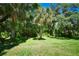 Expansive grassy yard with tropical trees at 3204 Stagecoach Trl, Wimauma, FL 33598