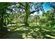 Large grassy yard with mature trees and lush vegetation at 3204 Stagecoach Trl, Wimauma, FL 33598