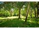 Spacious backyard with lush greenery and mature trees providing shade at 3204 Stagecoach Trl, Wimauma, FL 33598
