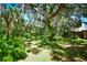 Spacious backyard with lush greenery under large oak trees with Spanish moss at 3204 Stagecoach Trl, Wimauma, FL 33598
