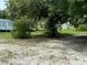 Partially wooded side yard with grassy area at 11911 Rhodine Rd, Riverview, FL 33579