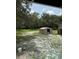 Large backyard with shed and mature trees at 11911 Rhodine Rd, Riverview, FL 33579