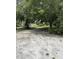 Wooded side yard with mature trees at 11911 Rhodine Rd, Riverview, FL 33579
