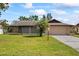 Ranch-style home with a large yard, driveway, and mature palm tree at 2296 Lake Forest Ave, Spring Hill, FL 34609